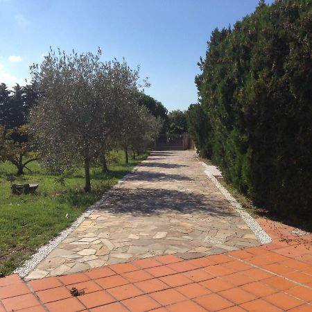 Vila S. Giorgio Tinnura Exteriér fotografie